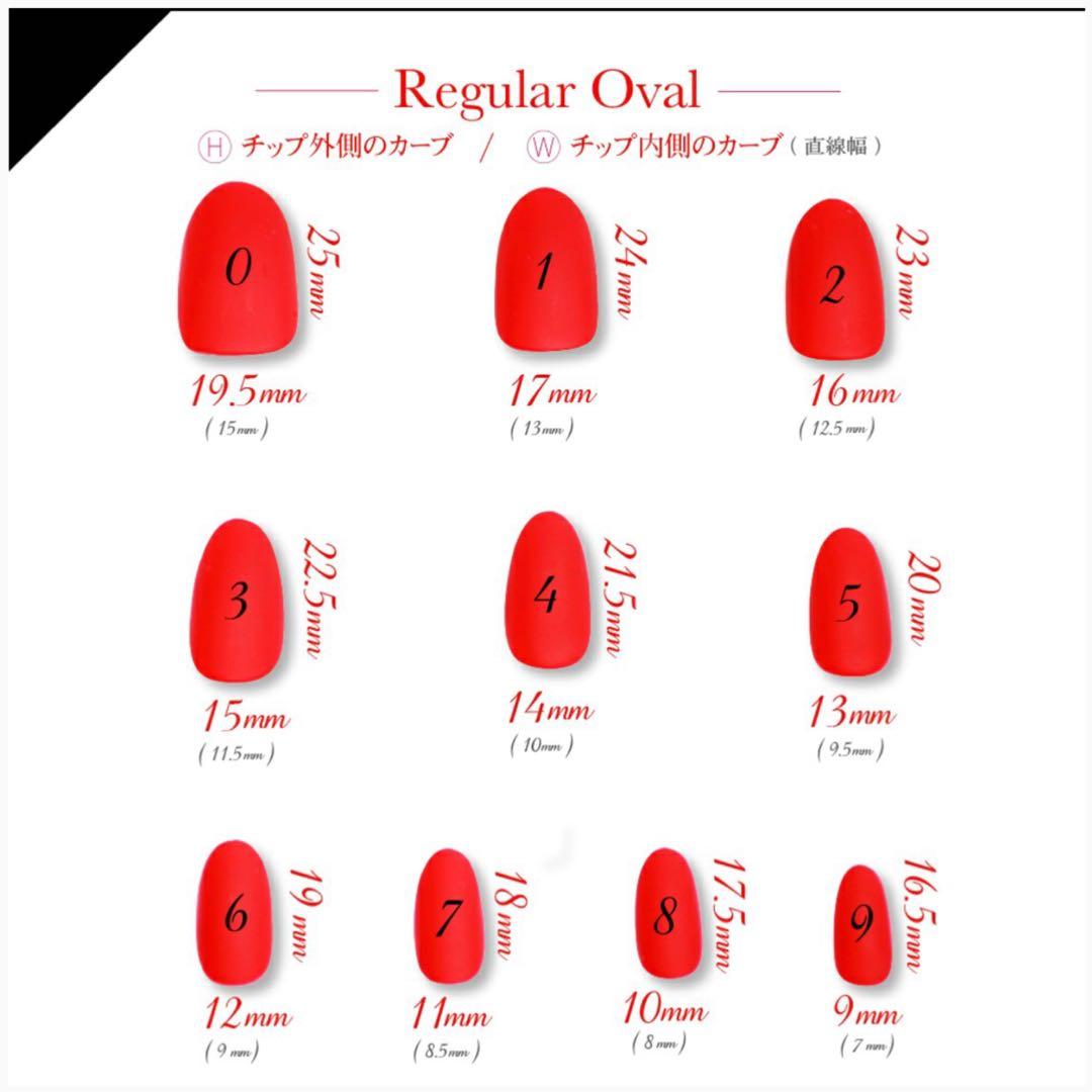 &Co. 高品質ネイルチップ【ヌーディー×ラメグラデーション】大人　美爪