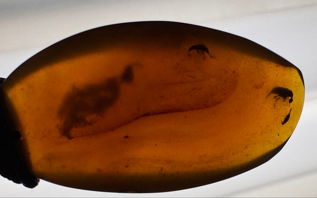 琥珀のネックレス