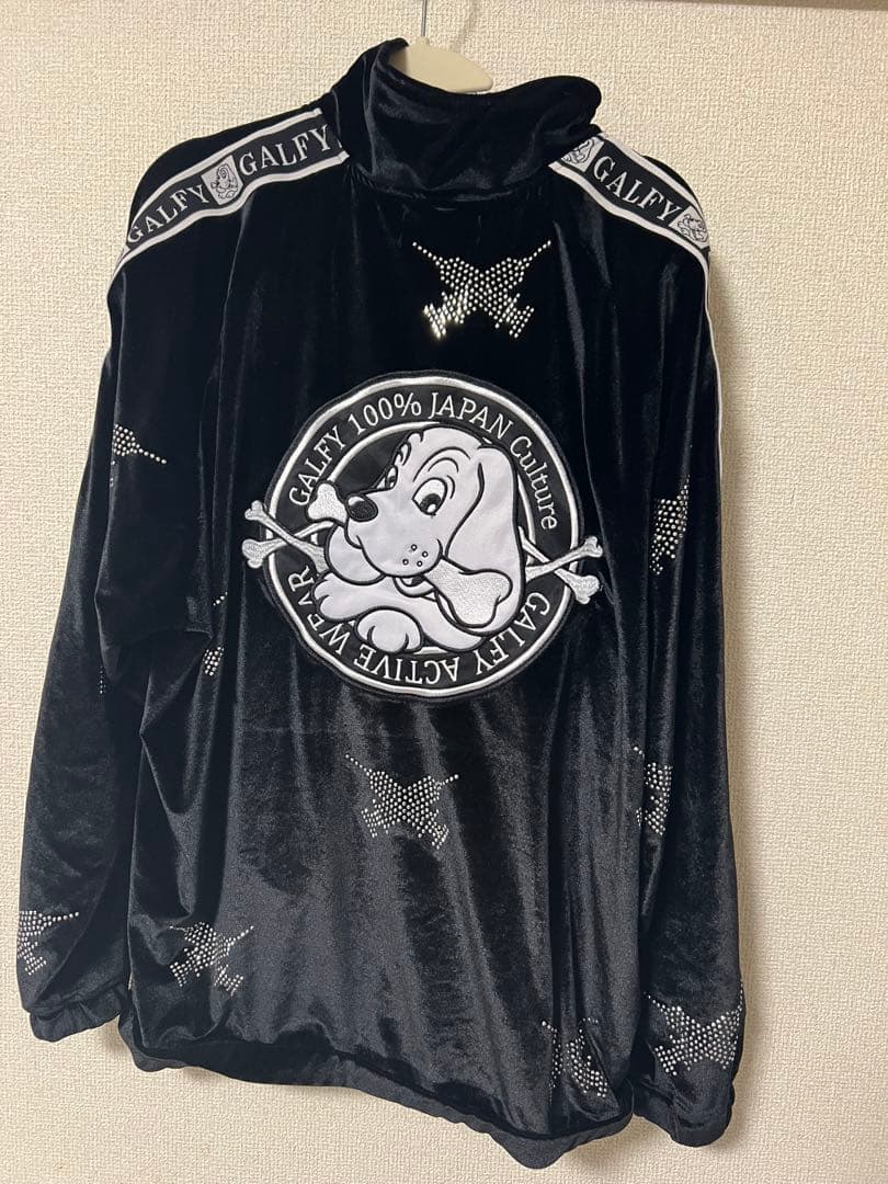 ガルフィー GALFY ピカピカ注射器 セットアップ