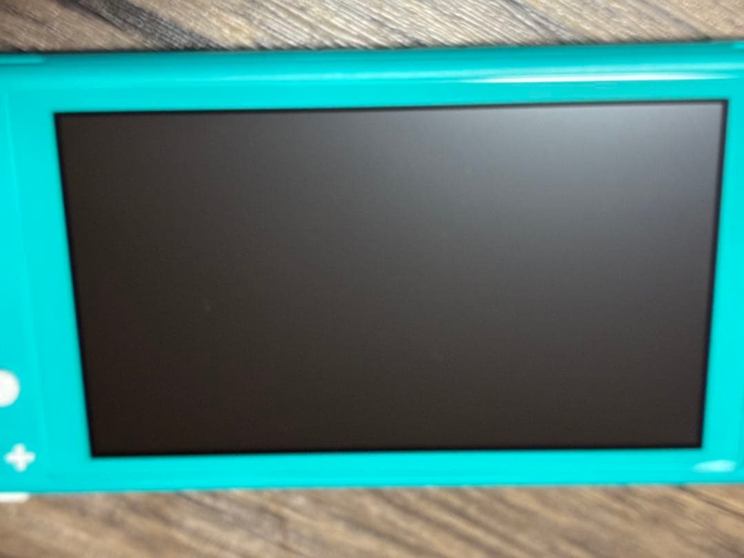 ニンテンドー スイッチ ライト Nintendo Switch Light