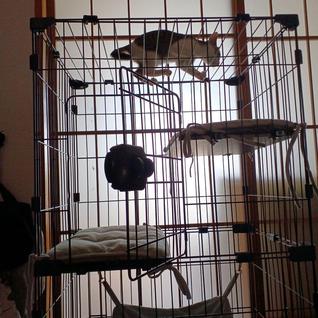 キャットケージ ハンモック付き 大型