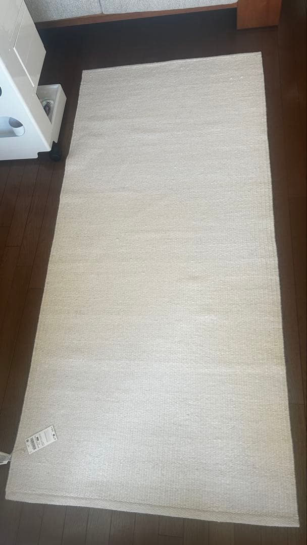 ZARA  ライトトーン ウール ラグ