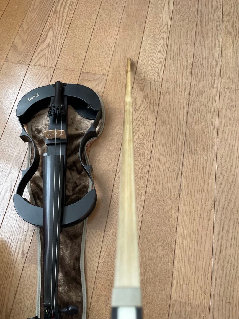 lizzzz　Kranz エレキ バイオリンSUGIZO LUNA SEA