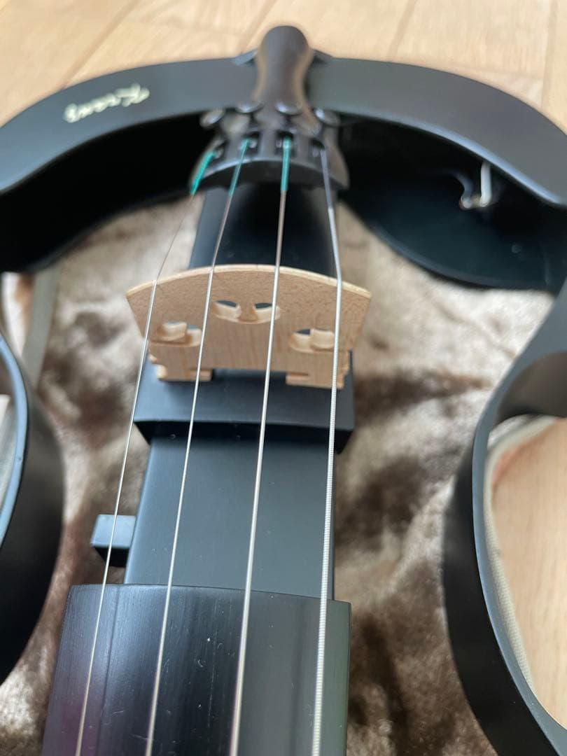 lizzzz　Kranz エレキ バイオリンSUGIZO LUNA SEA