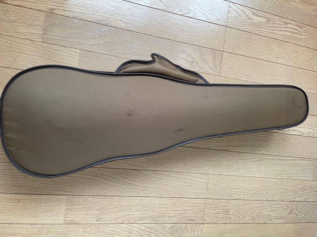 lizzzz　Kranz エレキ バイオリンSUGIZO LUNA SEA