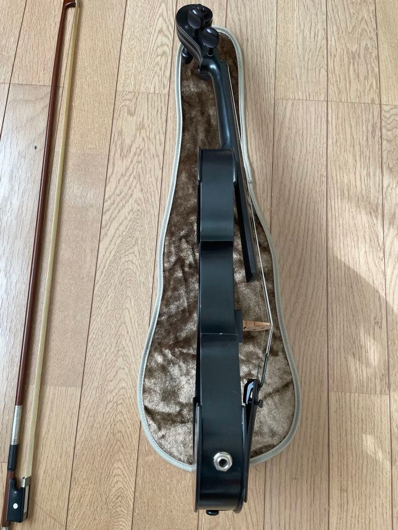 lizzzz　Kranz エレキ バイオリンSUGIZO LUNA SEA