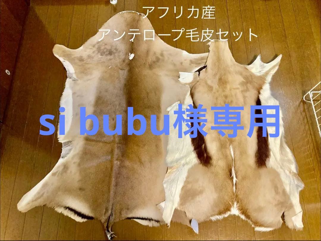 毛皮/ラグ/2枚セット/インパラ/スプリングボック/キャンプ/カーペット