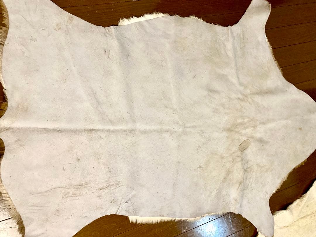 毛皮/ラグ/2枚セット/インパラ/スプリングボック/キャンプ/カーペット