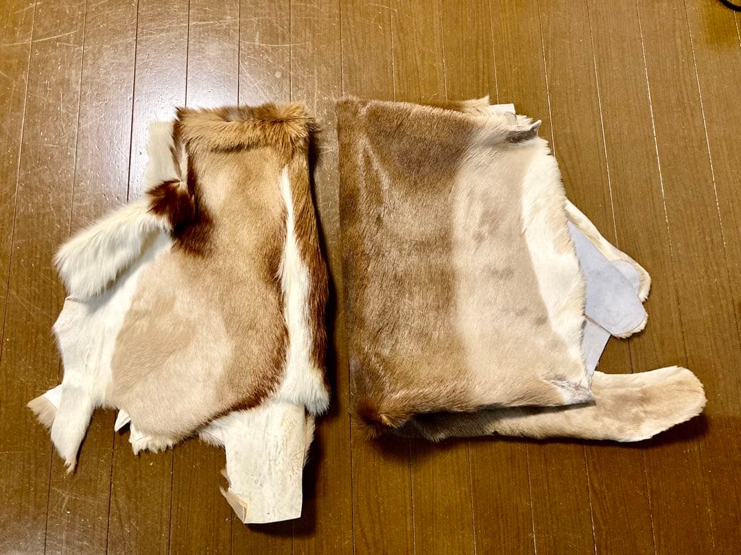 毛皮/ラグ/2枚セット/インパラ/スプリングボック/キャンプ/カーペット