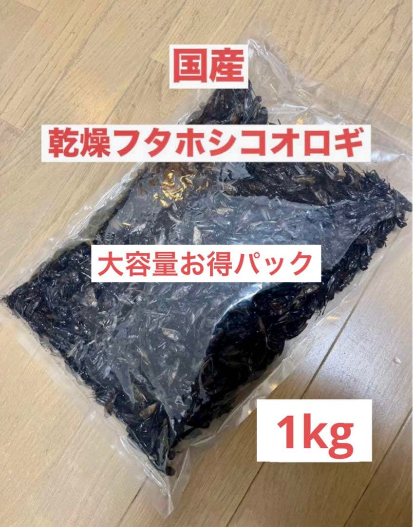 大容量⭐︎国産養殖　乾燥フタホシコオロギ　1kg