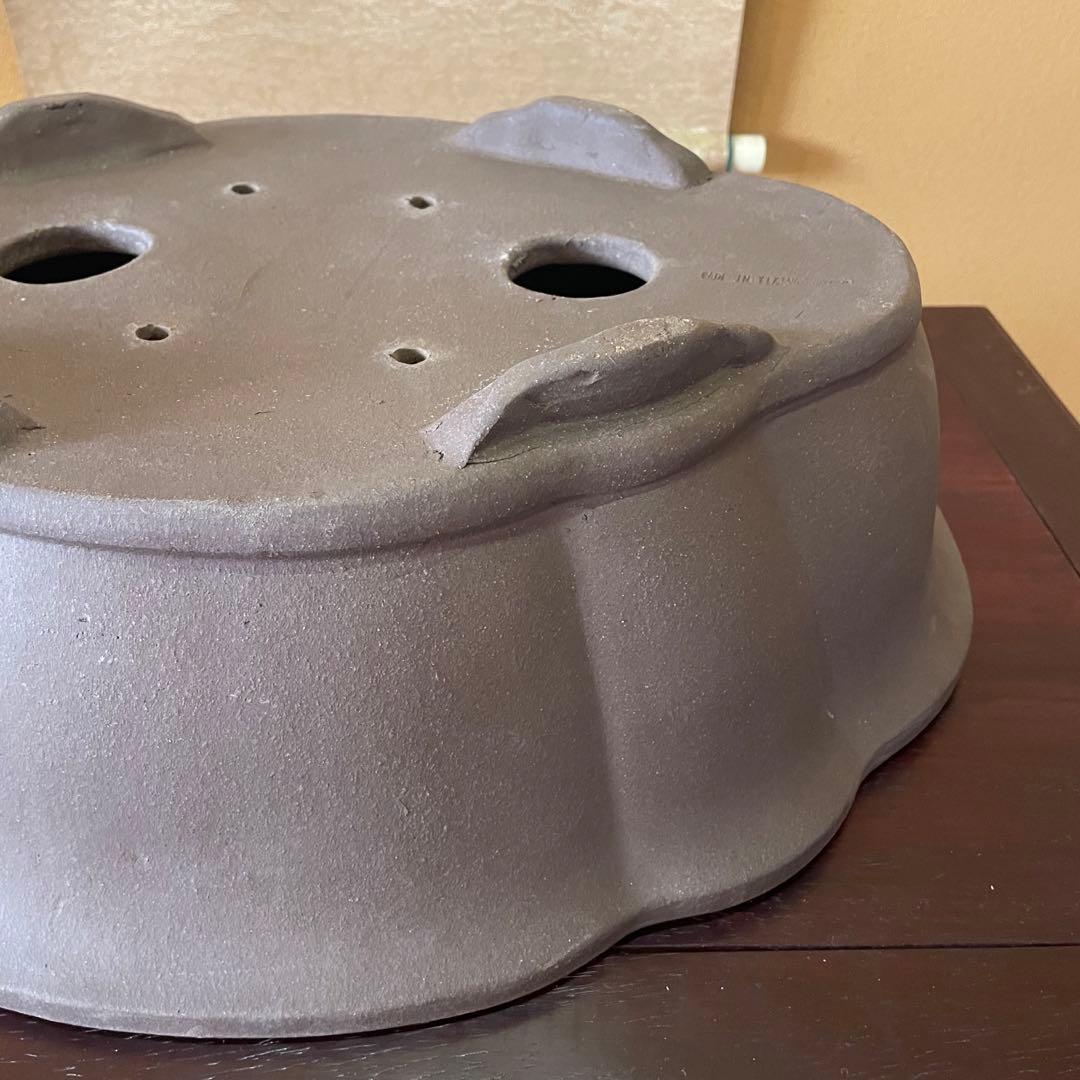 中国宜興 紫砂 木瓜下帯花足 烏泥盆栽鉢 真柏盆栽 MADE IN YIXING