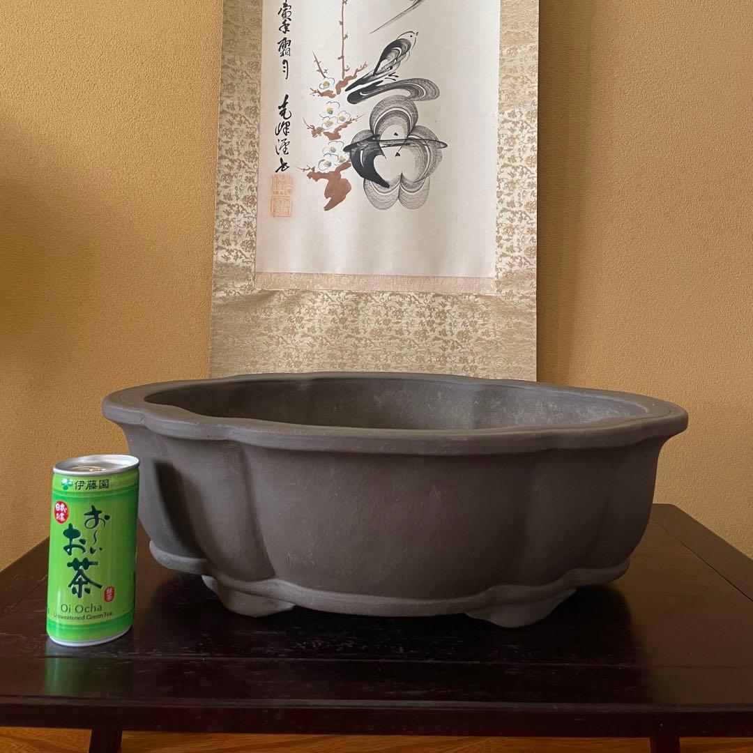 中国宜興 紫砂 木瓜下帯花足 烏泥盆栽鉢 真柏盆栽 MADE IN YIXING