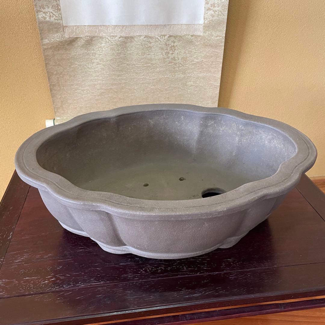 中国宜興 紫砂 木瓜下帯花足 烏泥盆栽鉢 真柏盆栽 MADE IN YIXING