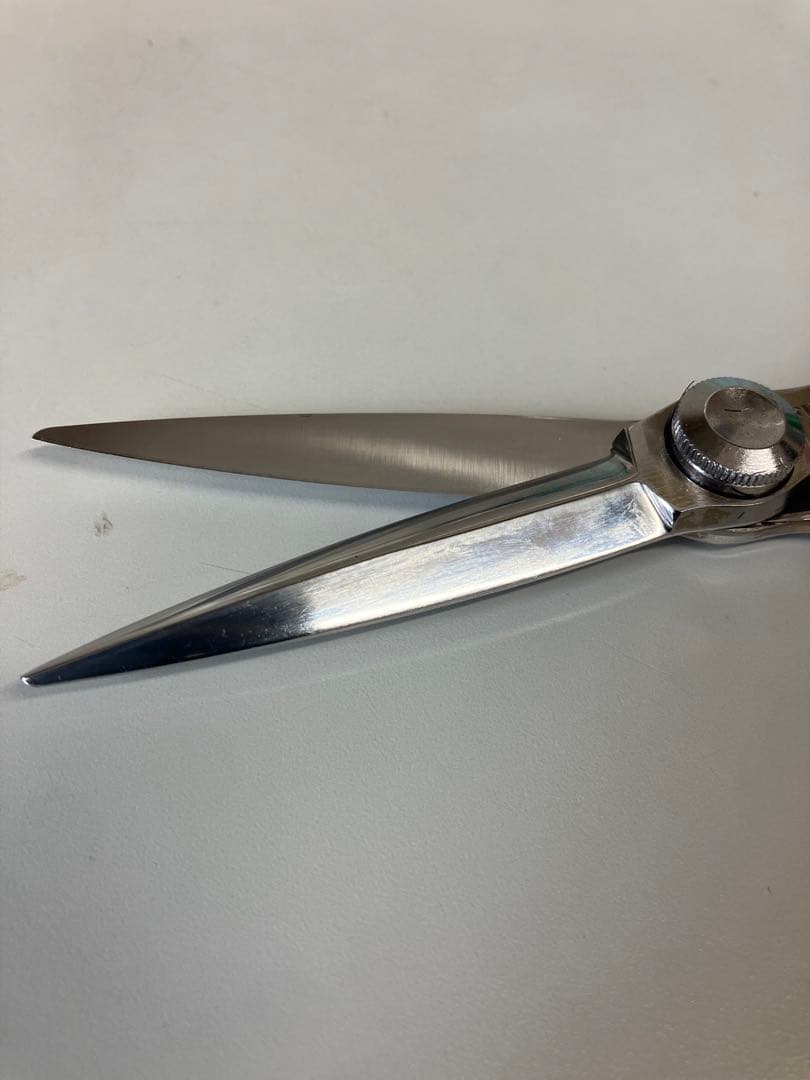 最終値引きトギノン　フーマフォルテッシモ　スライド5.8