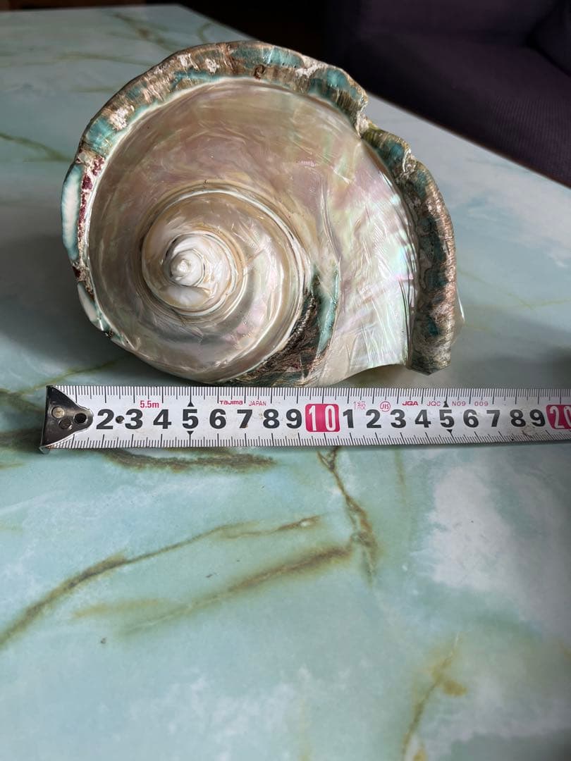 【一点物】座間味島で磨いた夜光貝 沖縄の海 ヒーリングインテリア【魔除け 開運】