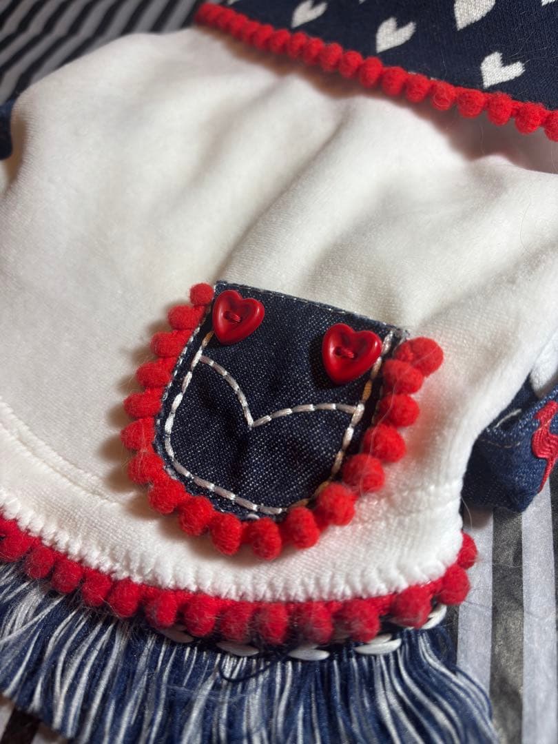 41◆OROKU 06 犬　お洋服　バレンタイン