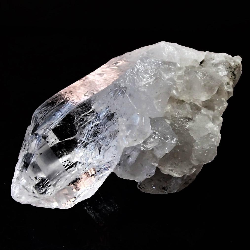 値下しました！ティップリン産ポイント-100-1