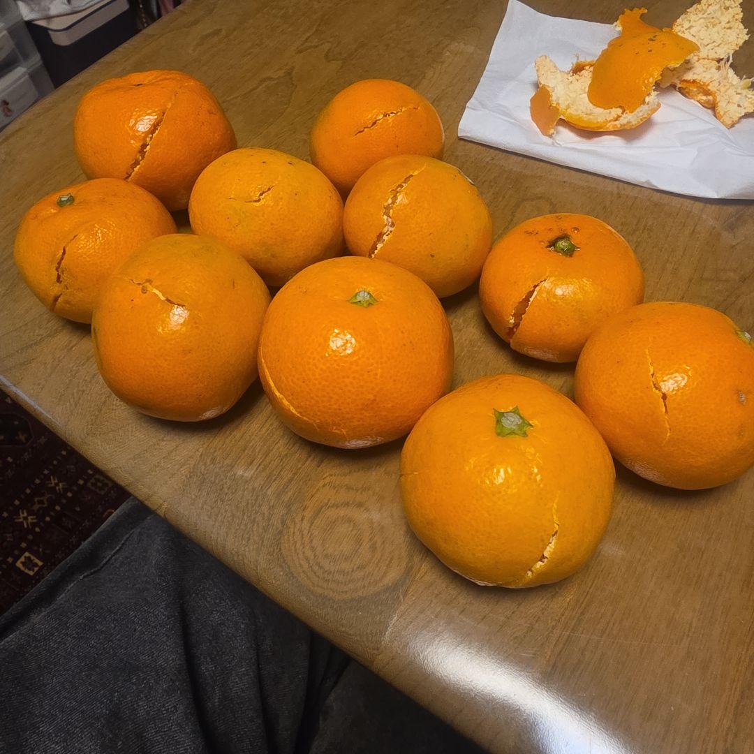 1/7到着分割れ11個