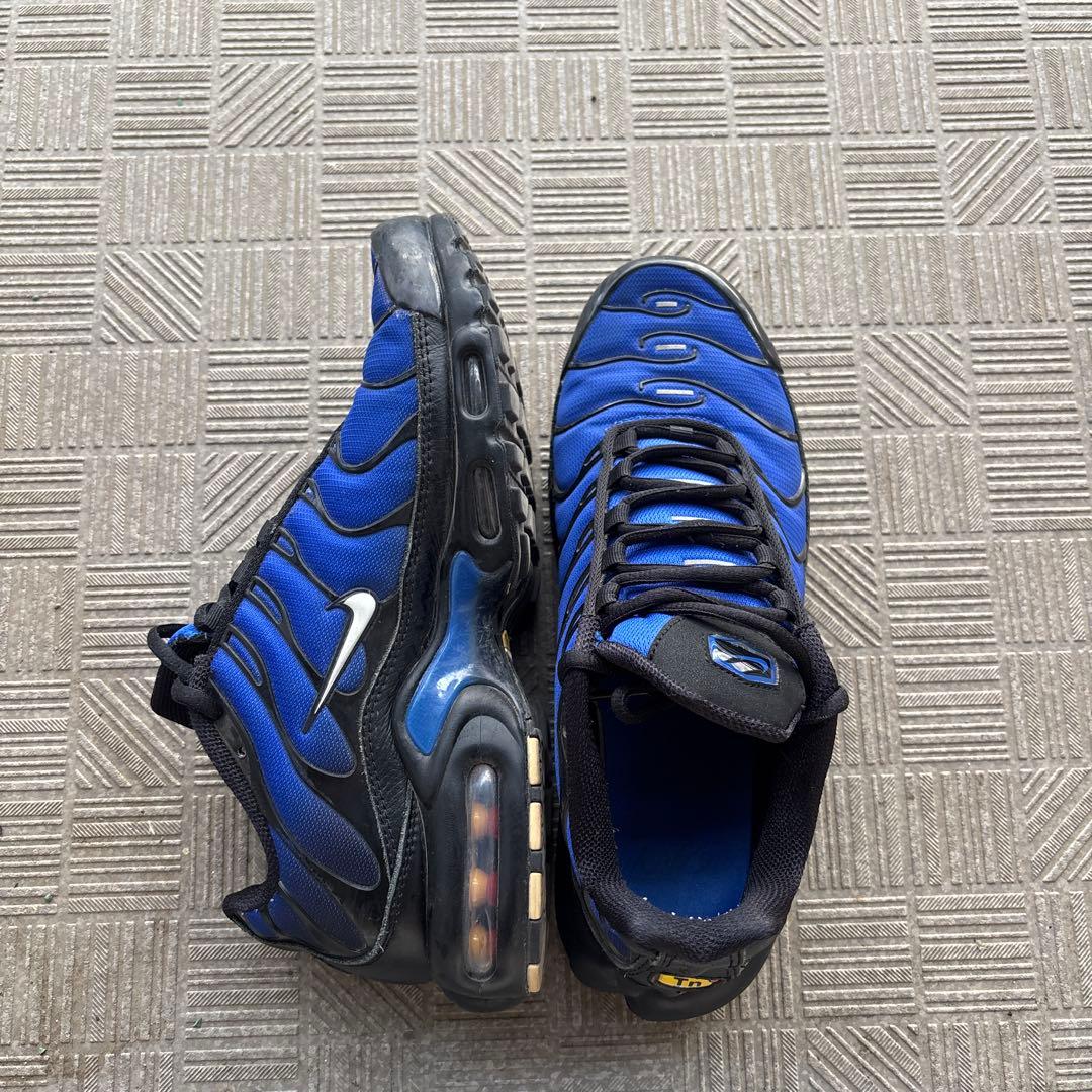 靴 Nike Air Max Plus PRM \"Racer Blue\"