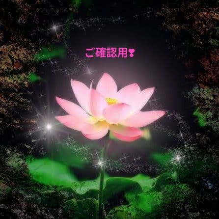 ご確認用出品✿