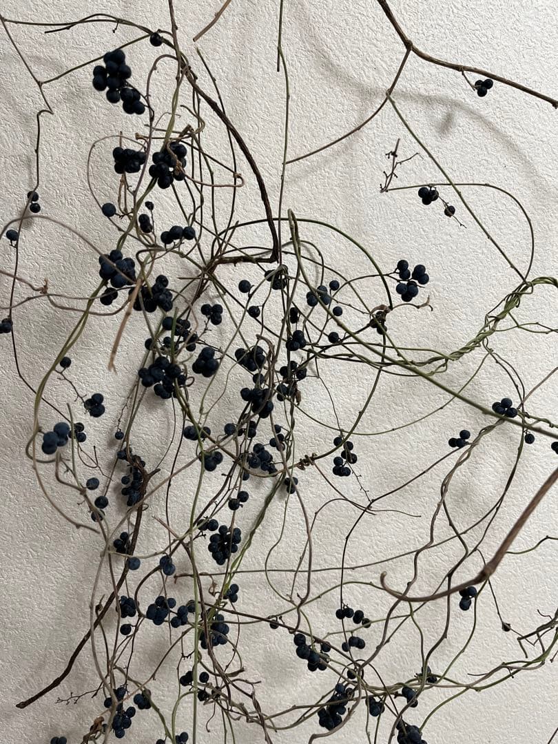 花材＊アオツヅラフジ　ドライフラワー　スワッグ、リース材料　オリジナル作品作り