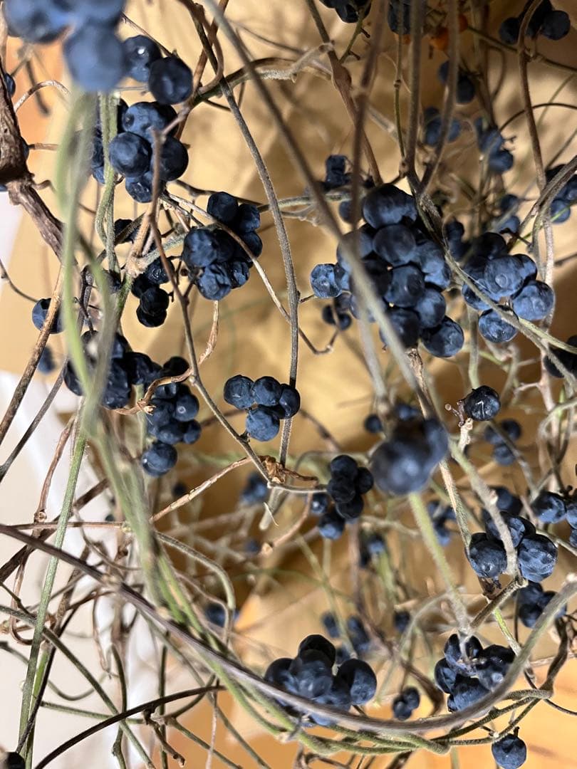 花材＊アオツヅラフジ　ドライフラワー　スワッグ、リース材料　オリジナル作品作り