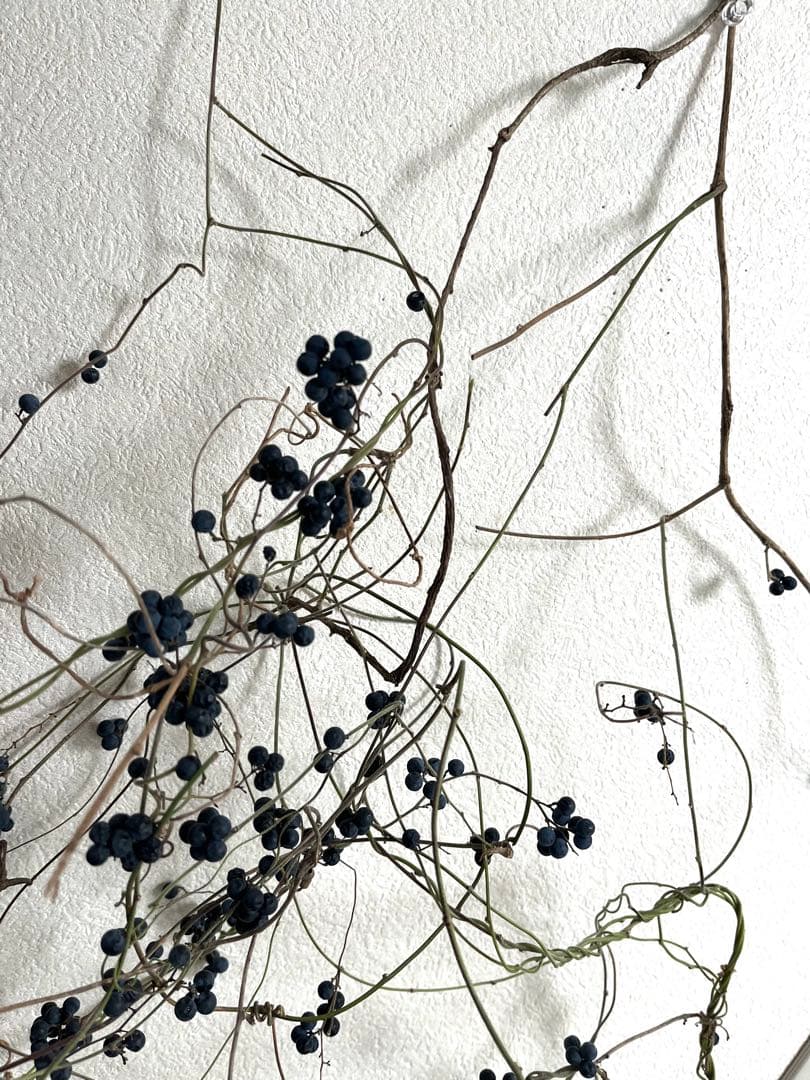 花材＊アオツヅラフジ　ドライフラワー　スワッグ、リース材料　オリジナル作品作り