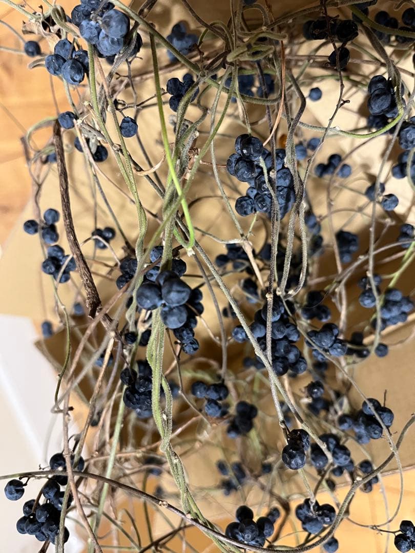花材＊アオツヅラフジ　ドライフラワー　スワッグ、リース材料　オリジナル作品作り