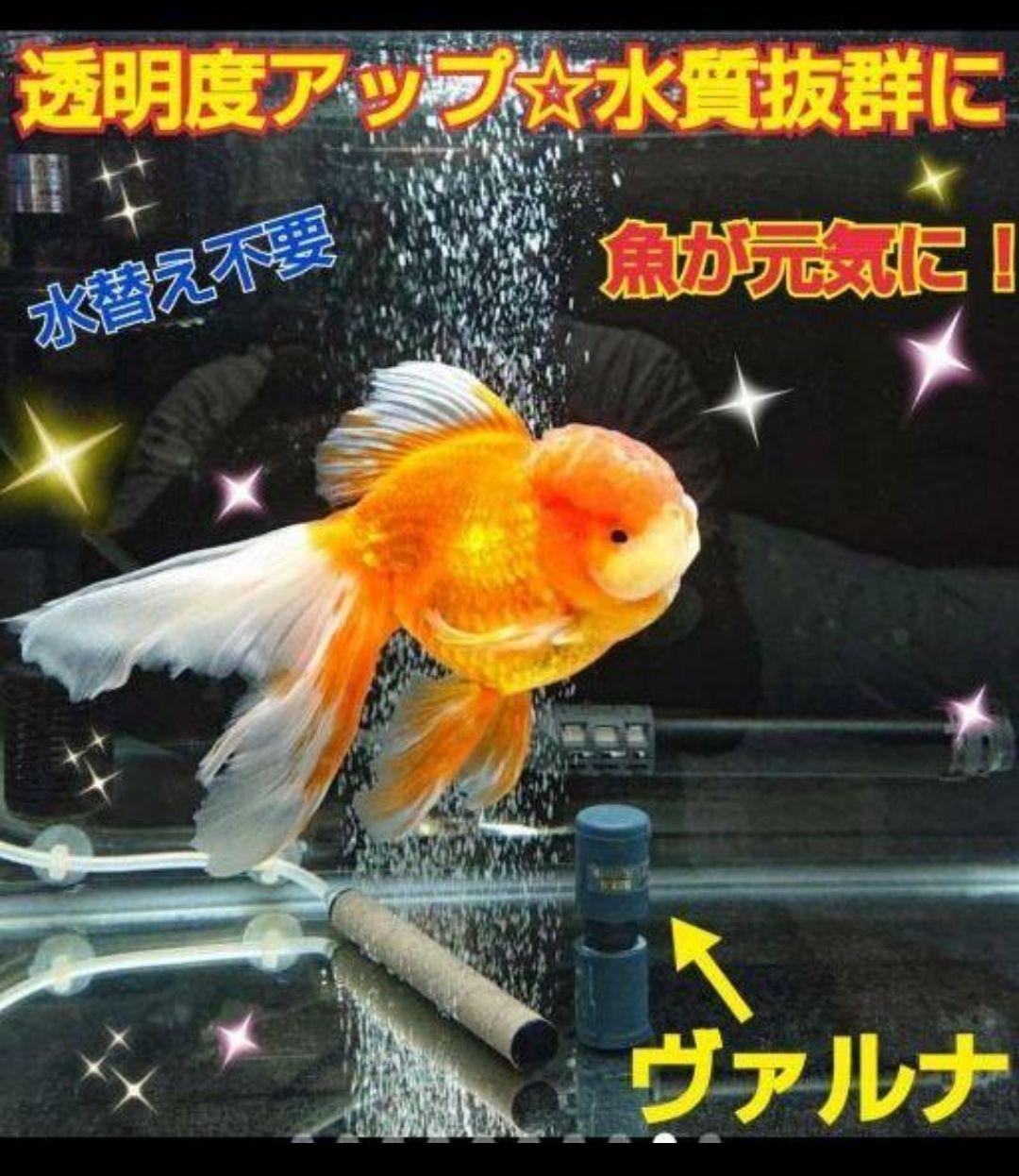 アロワナ飼育者絶賛！水槽の透明度抜群に！ヴァルナミニ　有害物質、病原菌も強力抑制