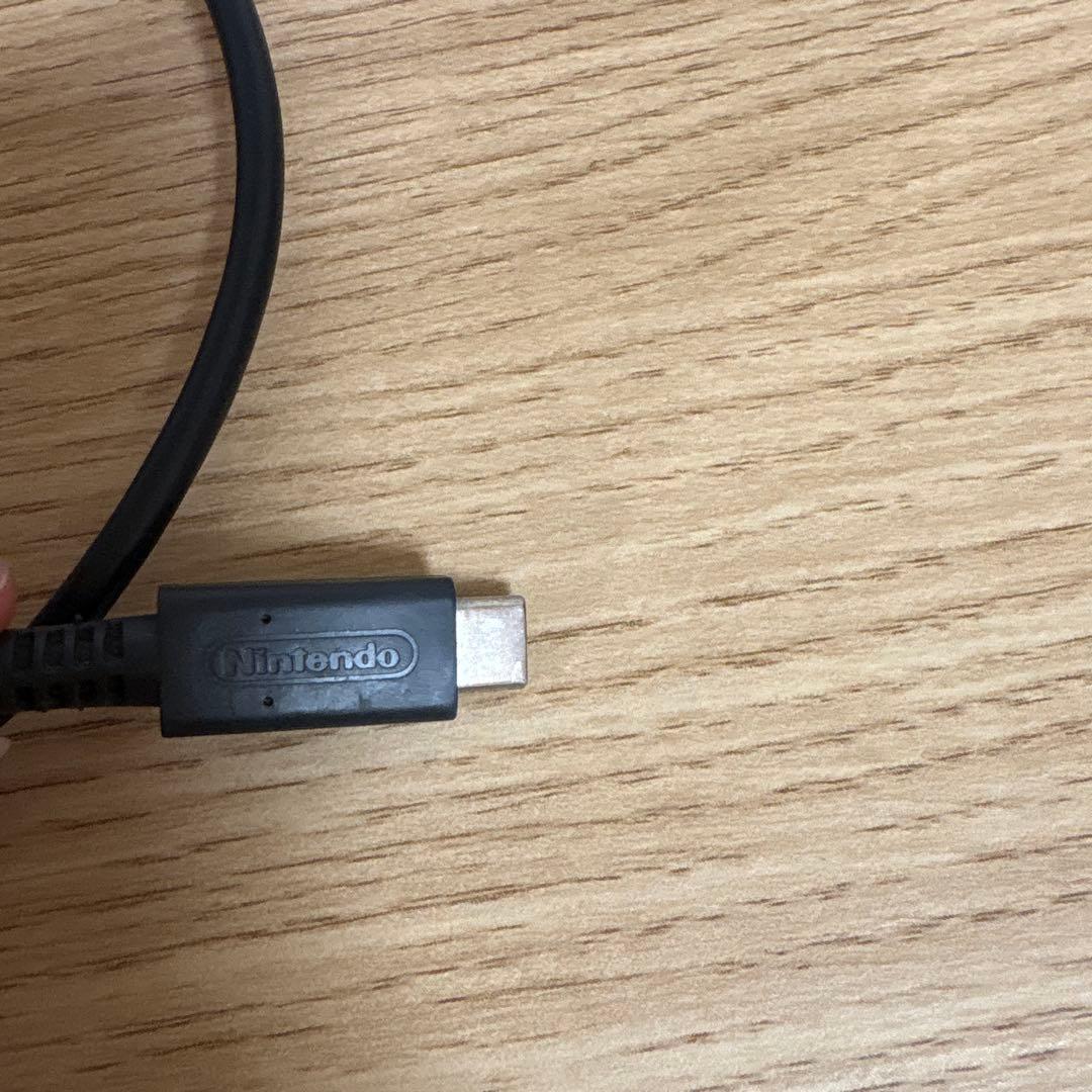 む*に様 Nintendo Switch Lite ピンク 充電器付き