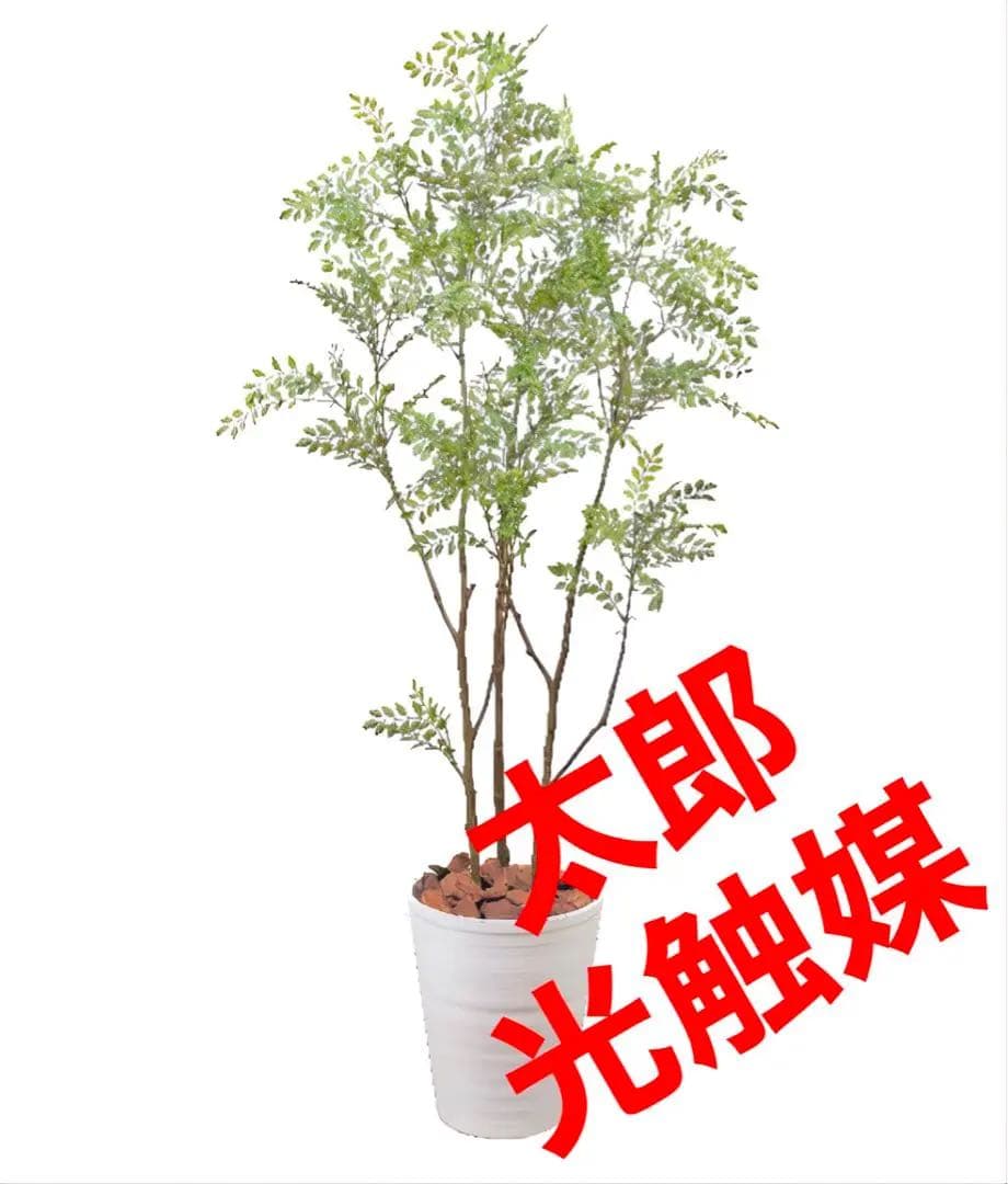 光触媒　観葉植物　ウォールグリーン　フェイクグリーン　シマトネリコ8210