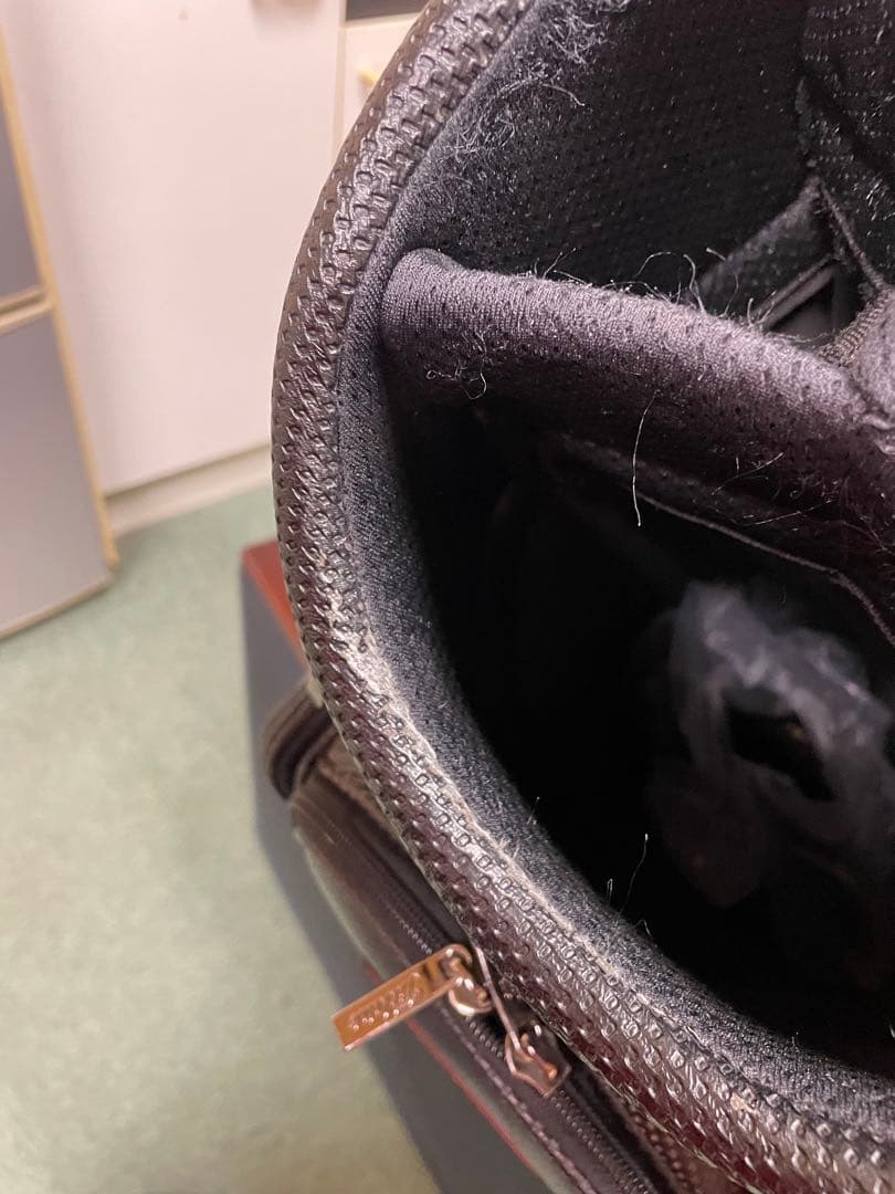 【セレクトショップ限定】Titleist キャディバッグ タイトリスト　オマケ付