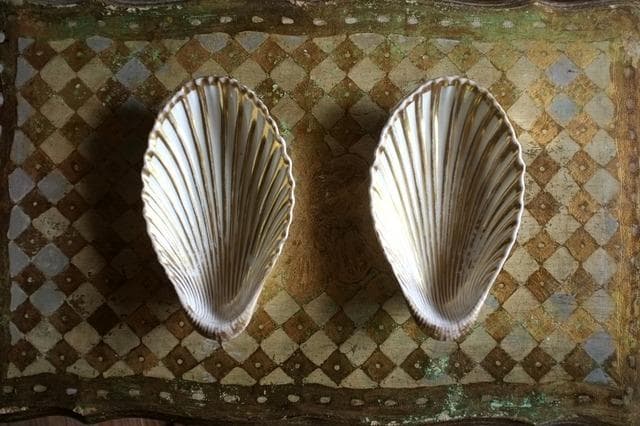 19世紀 金の貝と大きなラヴィエa パリ窯 プレート シェル アンティーク