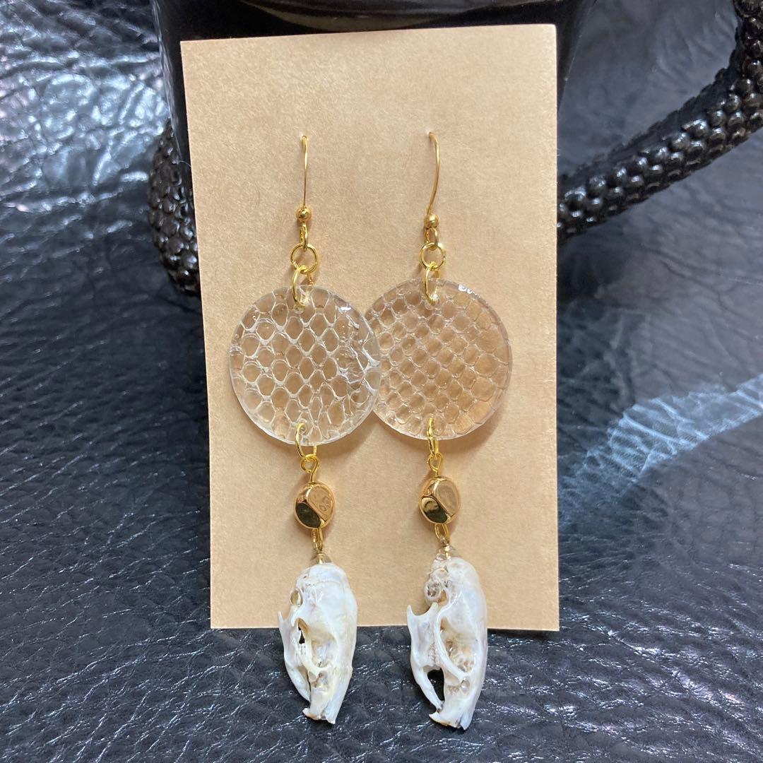 ぶっ飛んでる人向け ヘビの抜殻＆マウスの頭骨ピアス