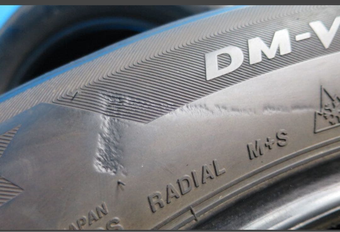 21年バリ山BLIZZAKDM-V2 255/55R19111Q4本スタッドレス