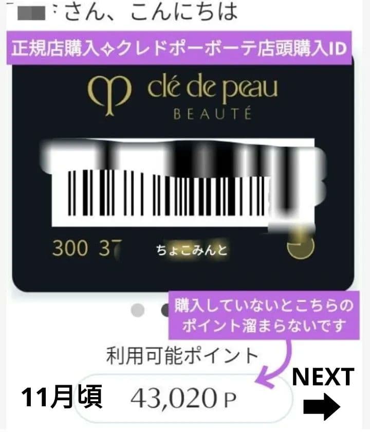 新品✨正規店購入 クレドポーボーテ タンプードルエクラⅡ オークル20 レフィル
