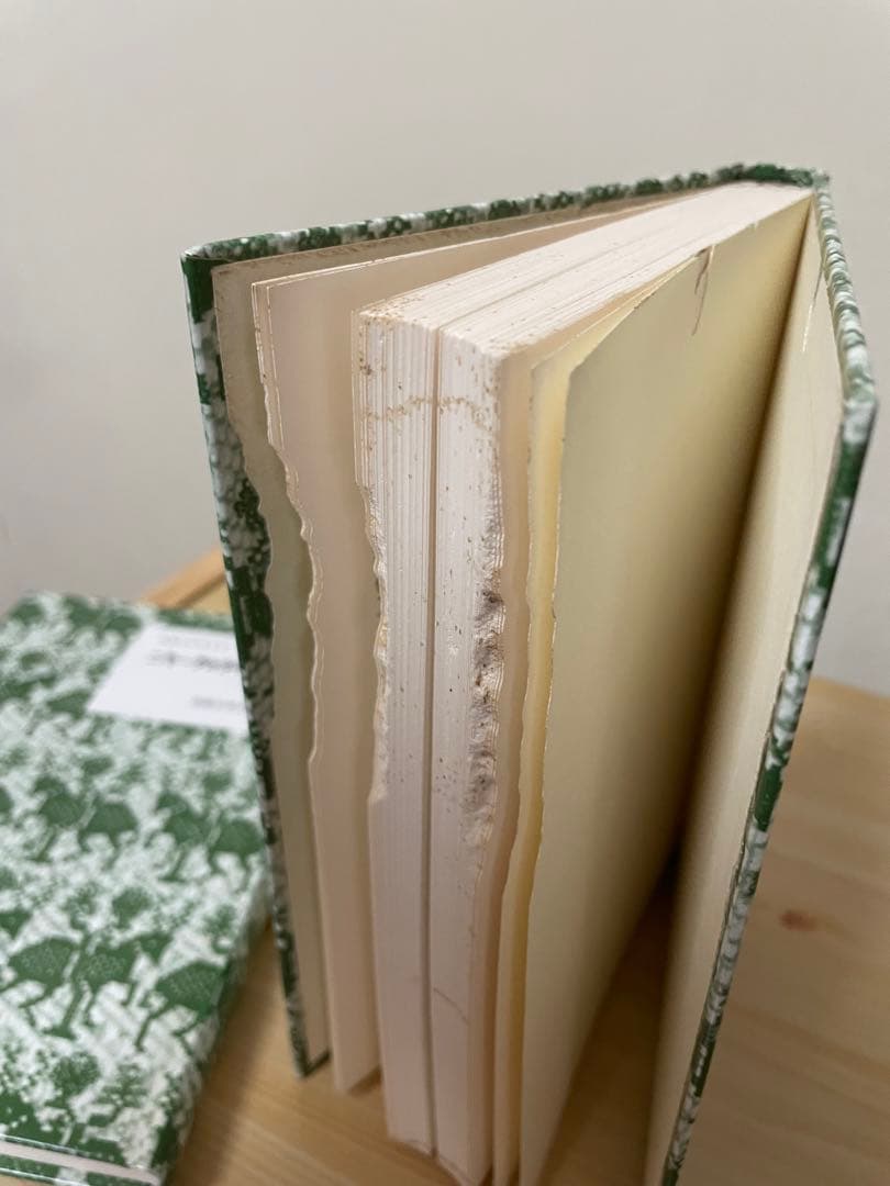 復刻版岩波少年文庫26冊と破損した4冊