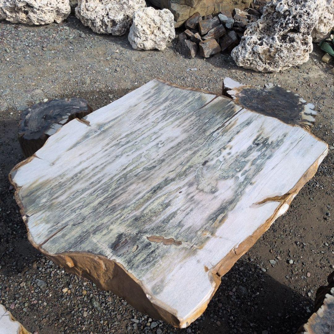 インドネシア産　珪化木　ガーデンテーブル　椅子4石　セット　木化石