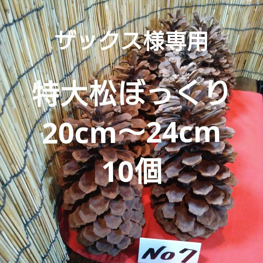 ザックスです。他の方はご購入をご遠慮くださいませm(_ _)m