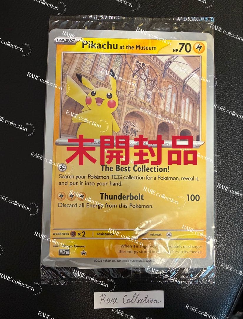 Pikachu at the Museum ピカチュウ ロンドン自然史博物館　⑥