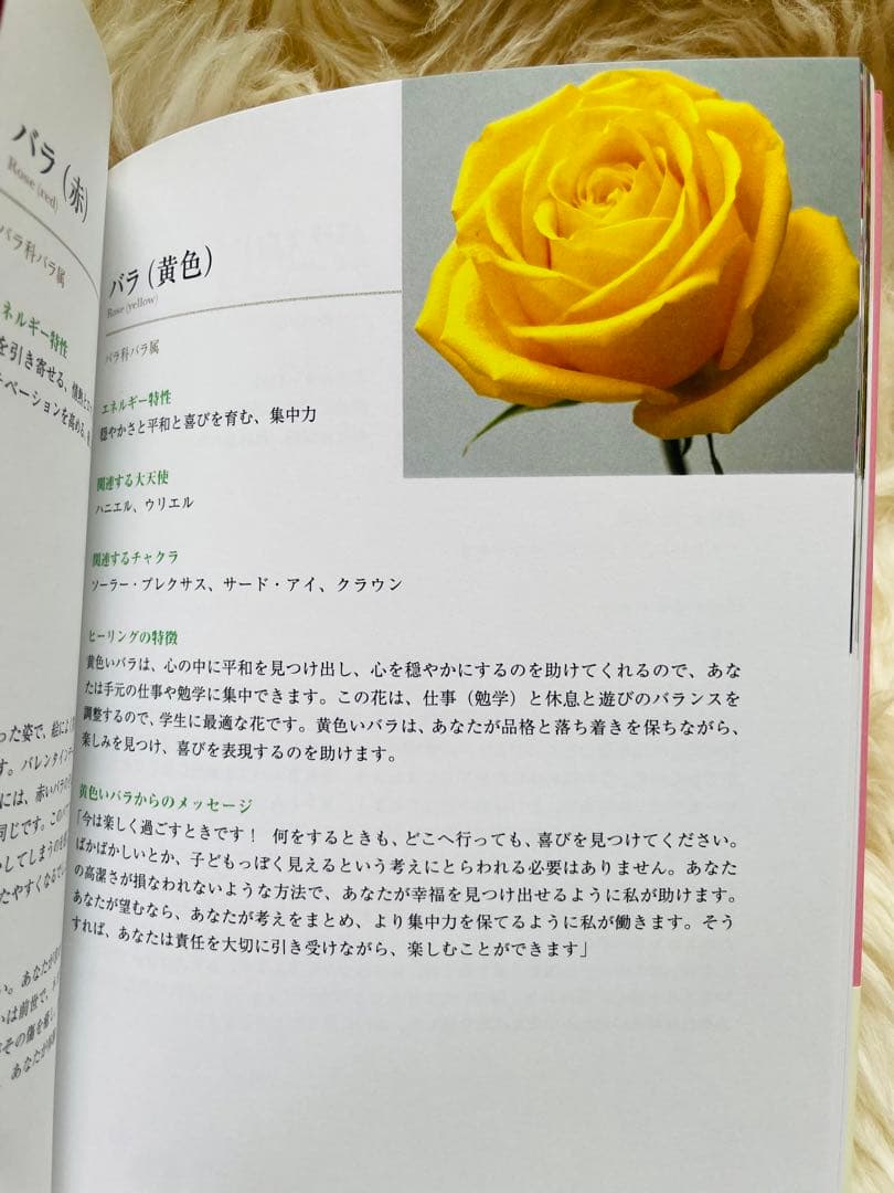 【絶版】フラワーセラピーオラクルカード・セラピーガイドブック