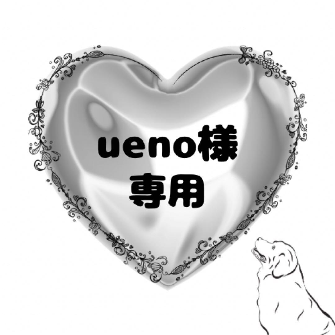 未使用 メゾンマルジェラ ルームフレグランス レイジーサンデーモーニング