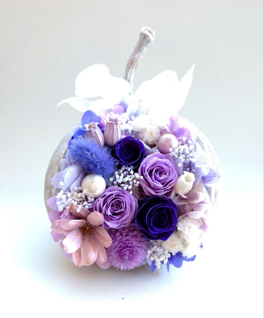 ふぅページ　ブッダナッツ　オーダー分