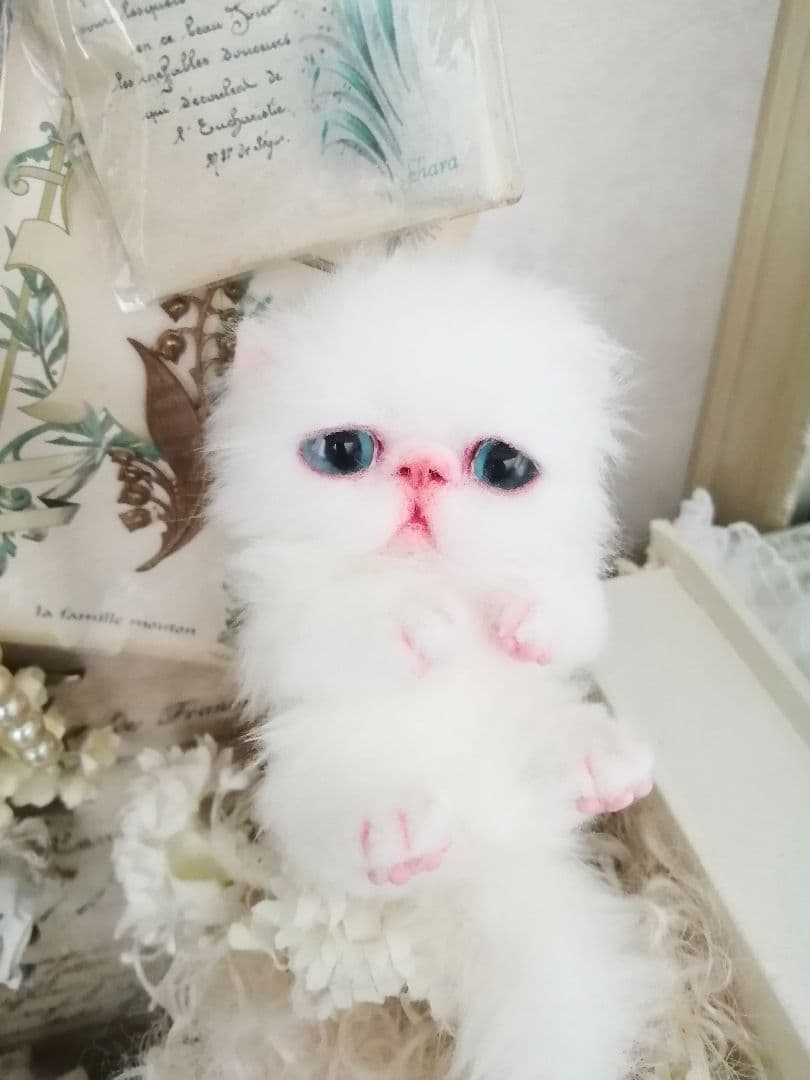 ミニミニ子猫ちゃん♡エキゾチック♡アートドール♡ぬいぐるみ♡