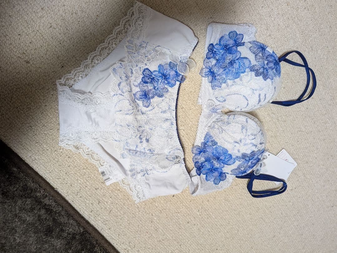 ワコール パルファージュ　ブラジャーとショーツD65M