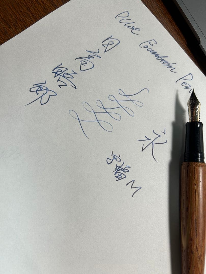 パイロット　pilot 万年筆　日高晤郎　北海道限定　希少モデル　筆記確認済み