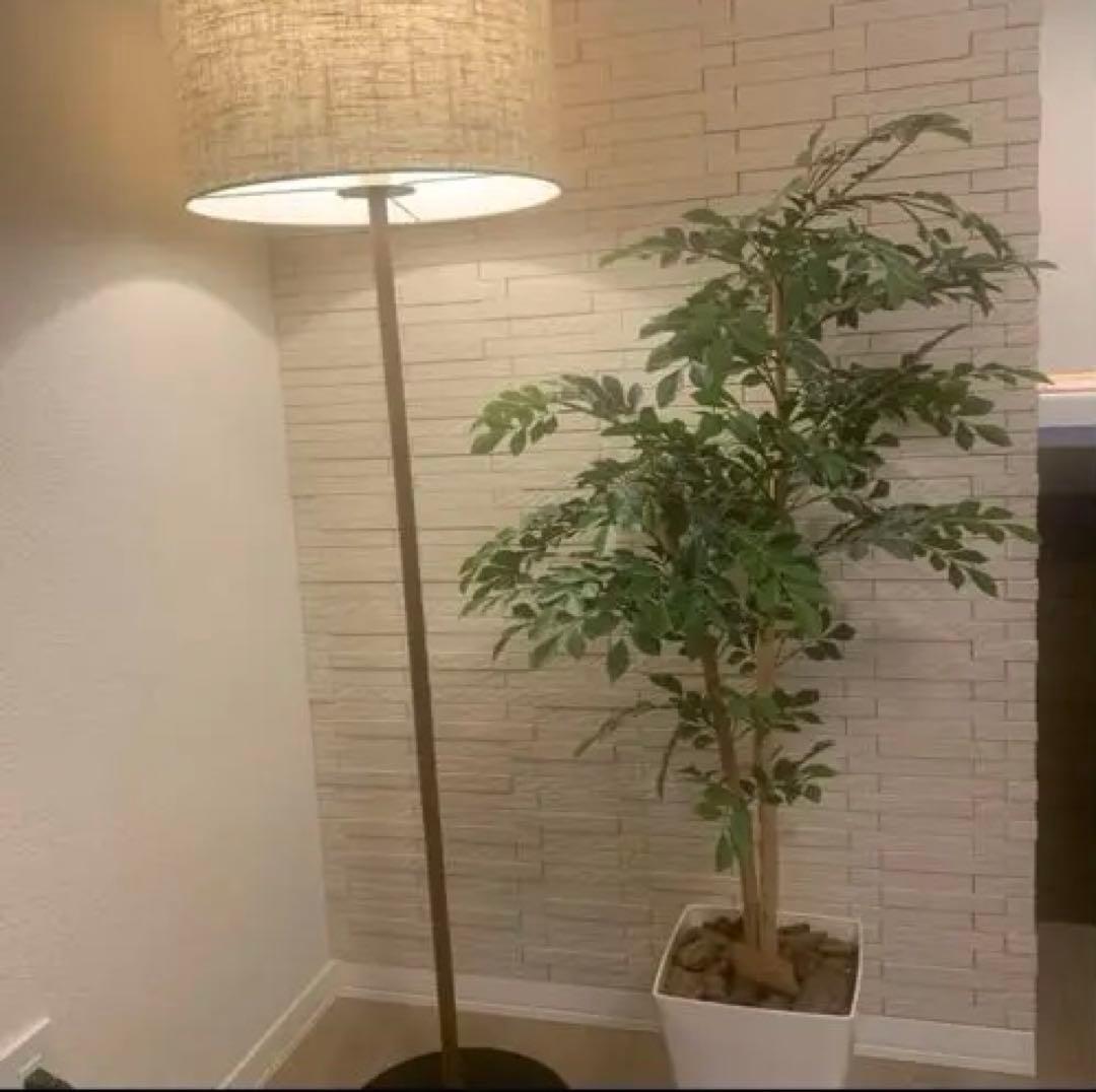 【専用・購入不可】Re: CENOフロアライト　照明インテリア①