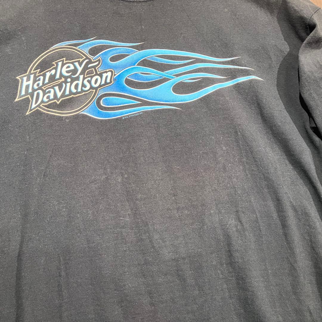USA製 ハーレーダビッドソン ブルーフレイム　ロンt 長袖　ブラック　Ｌ
