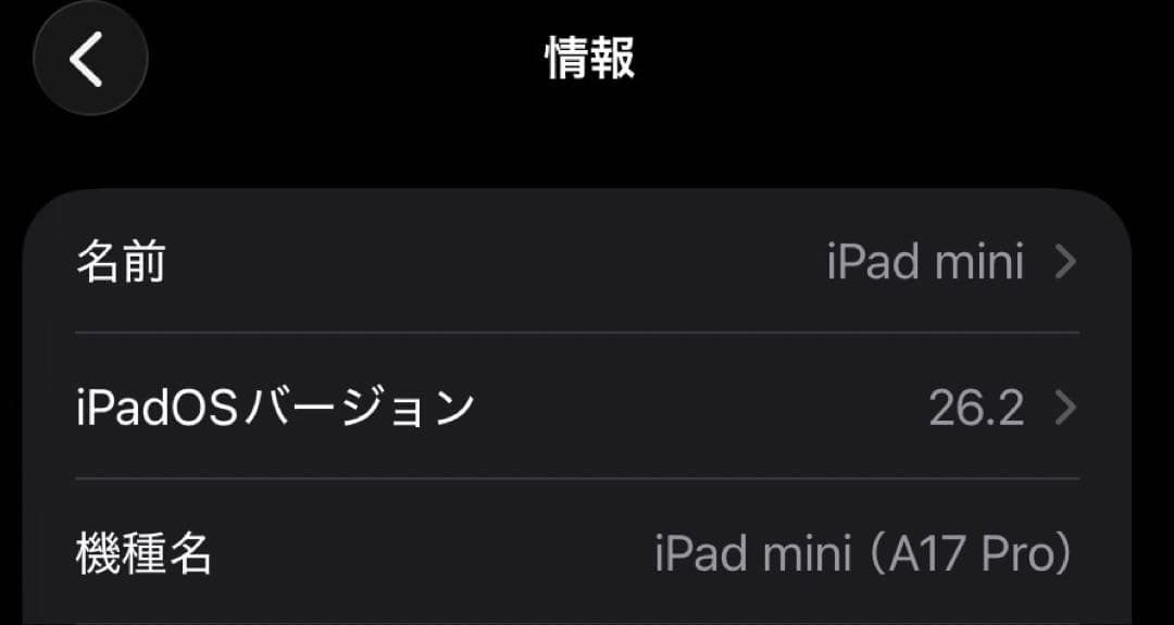 iPadminiA17pro(第７世代)Wi-Fi 256Gバッテリー100