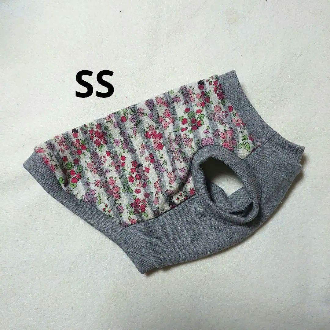 犬服 SS わんこの普段着　フルーツカシェ　ボーダー